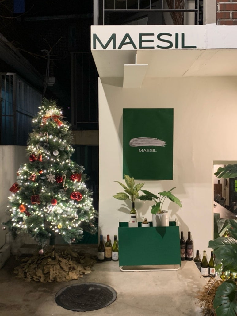 매실(maesil) 이미지
