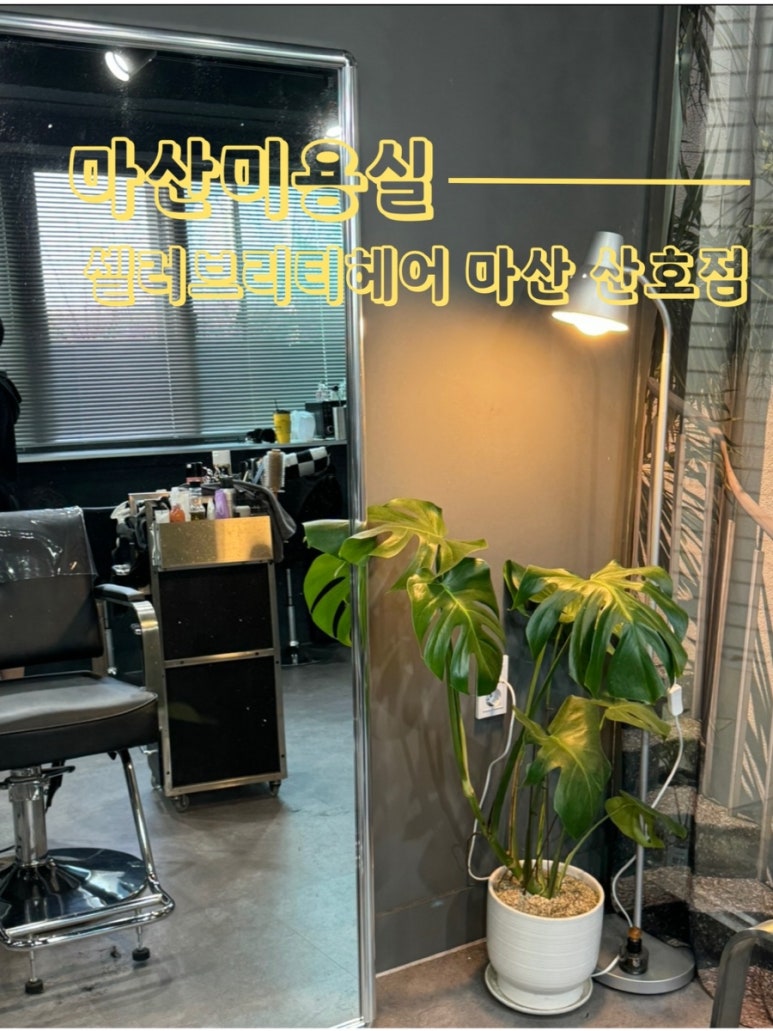 산호미용실 이미지