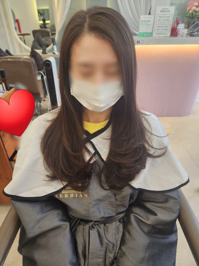제르비안 이미지
