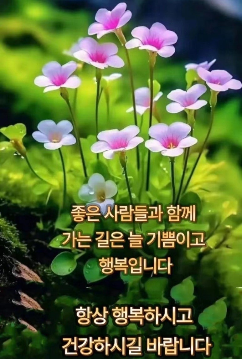 행복법무사 이미지