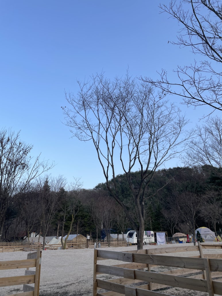 위드독스in포천 이미지