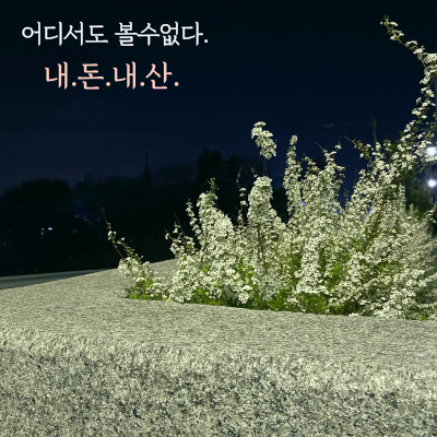 서충주주유소 이미지