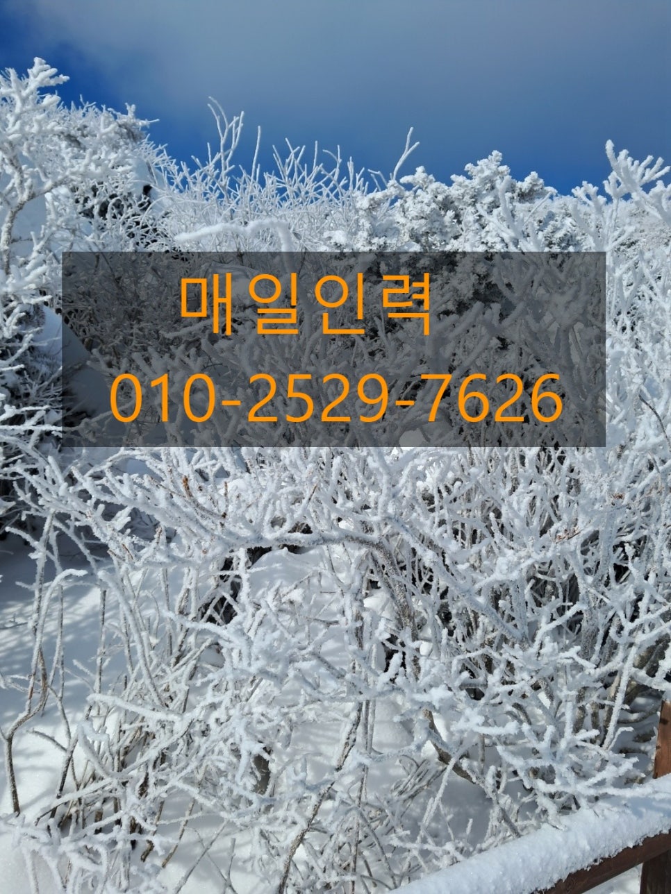 매일인력용역 이미지