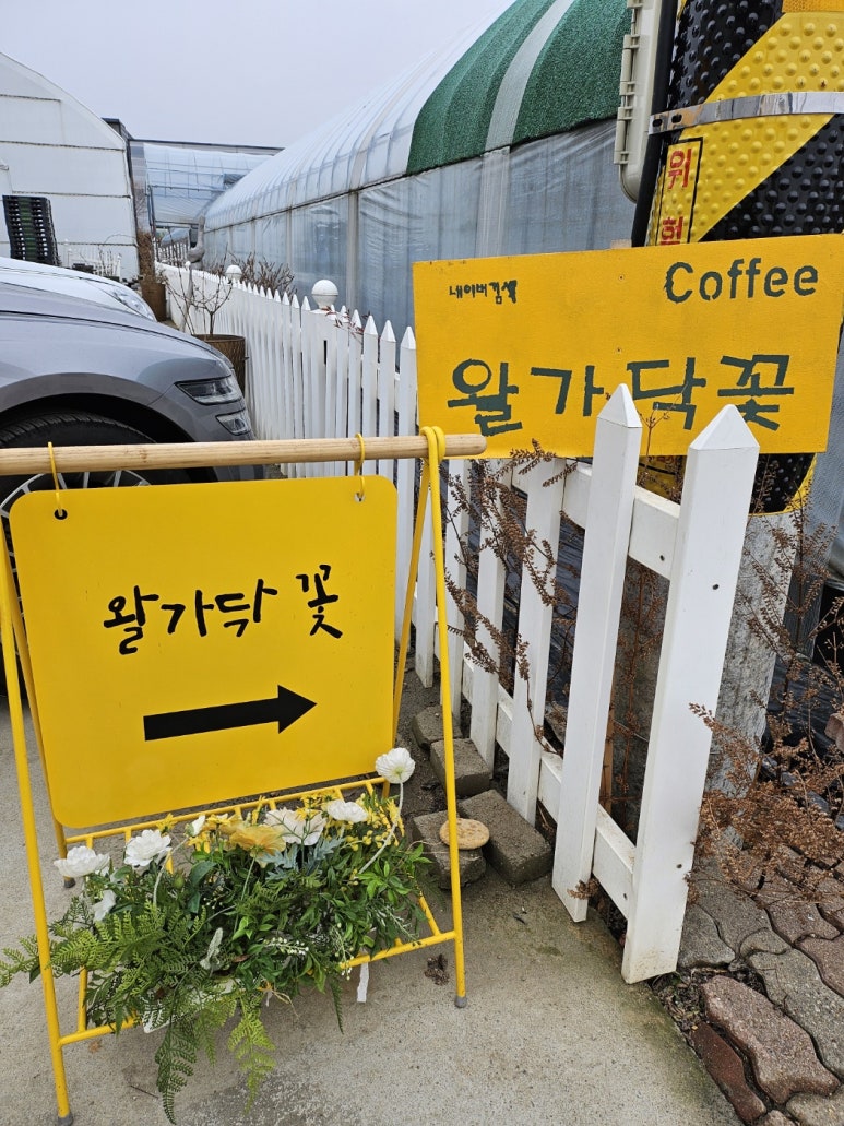 왈가닥꽃 이미지