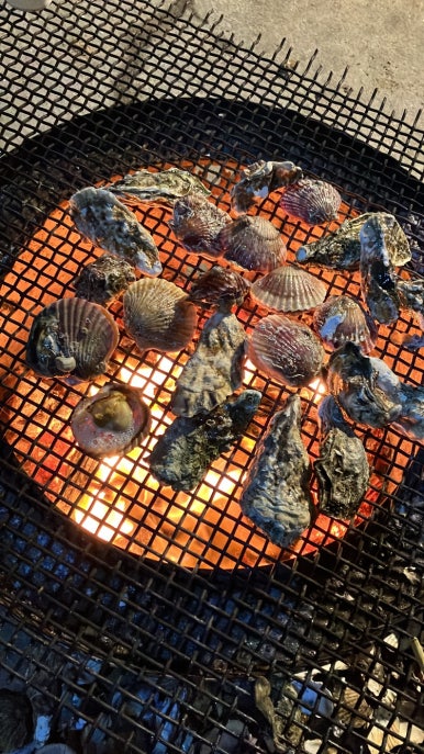 통영어부가 이미지