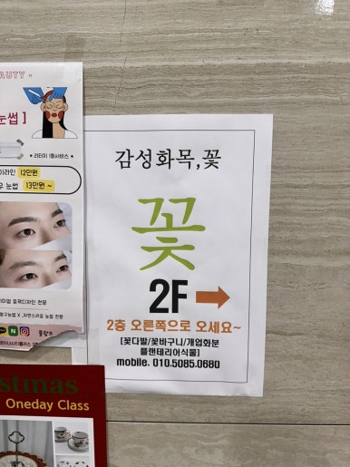 감성화목;꽃 이미지