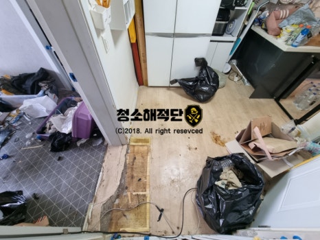 청소해적단 이미지