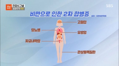 더조각테라피 이미지