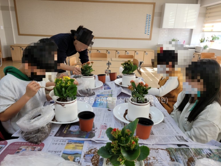 한국웰니스맞춤원예연구소 이미지