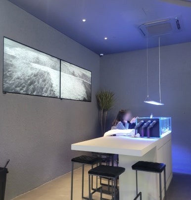 산호미트 이미지