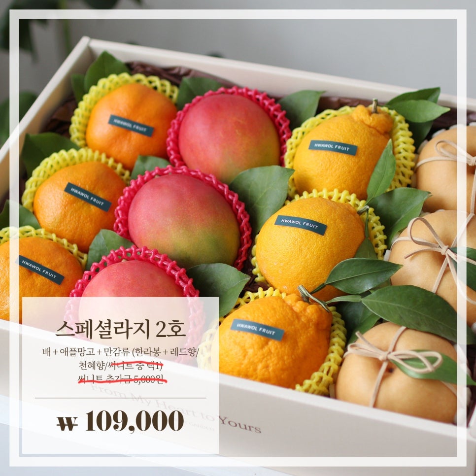 화월청과 이미지