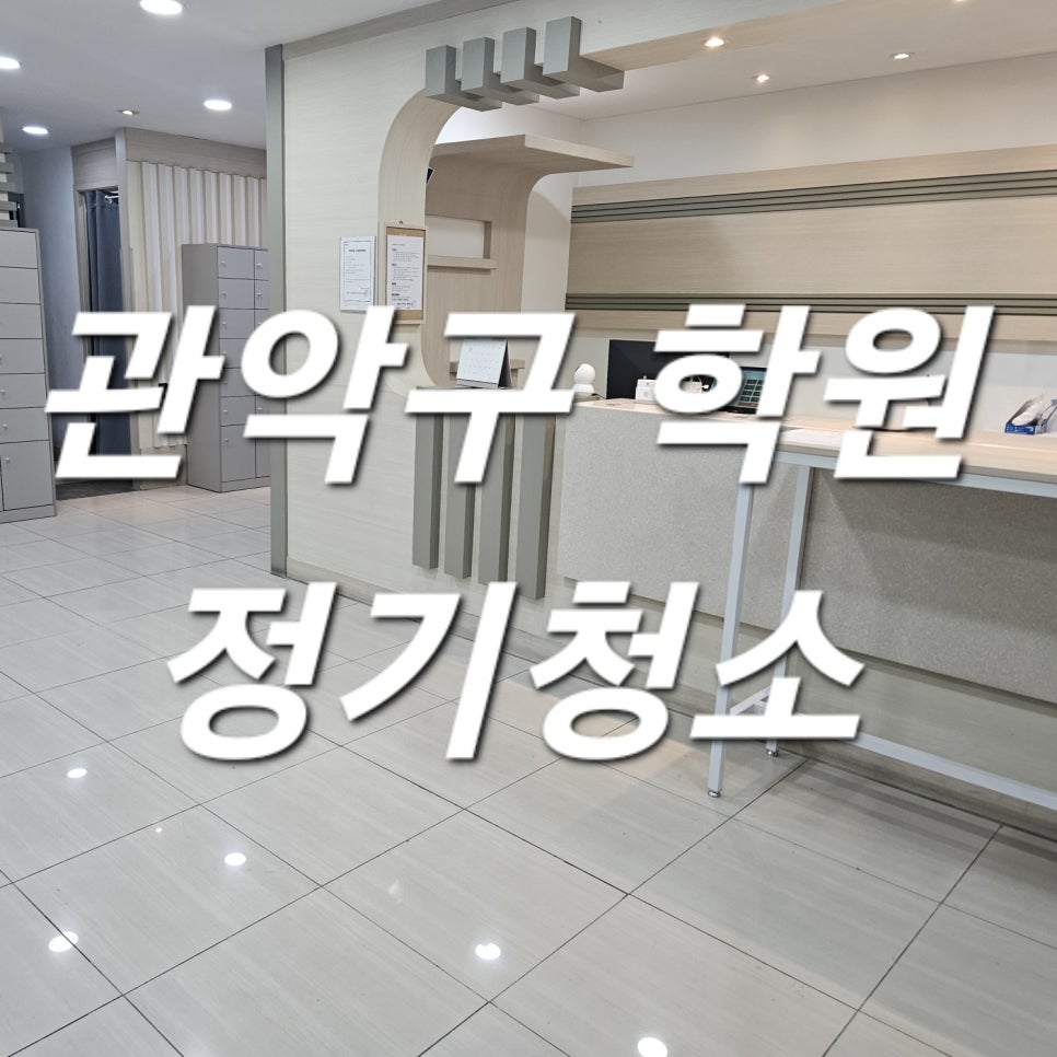 돌핀크린 이미지