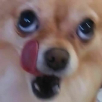 멍프탑 이미지