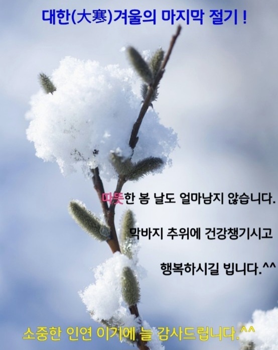 대한행정사 이미지