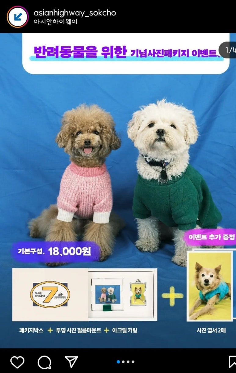 희희횸횸 이미지