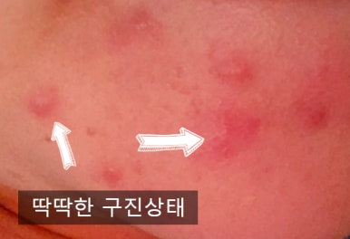 주식회사 피오니 이미지