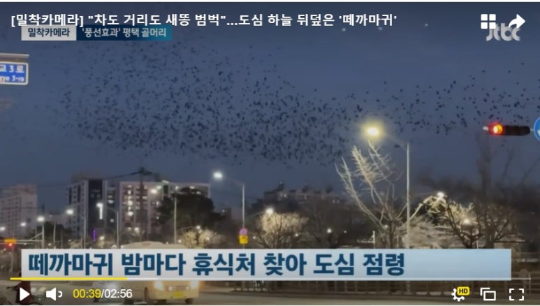 홍도유통 이미지