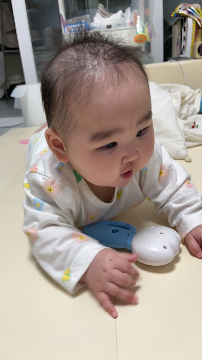 까끌레뽀끌레 이미지