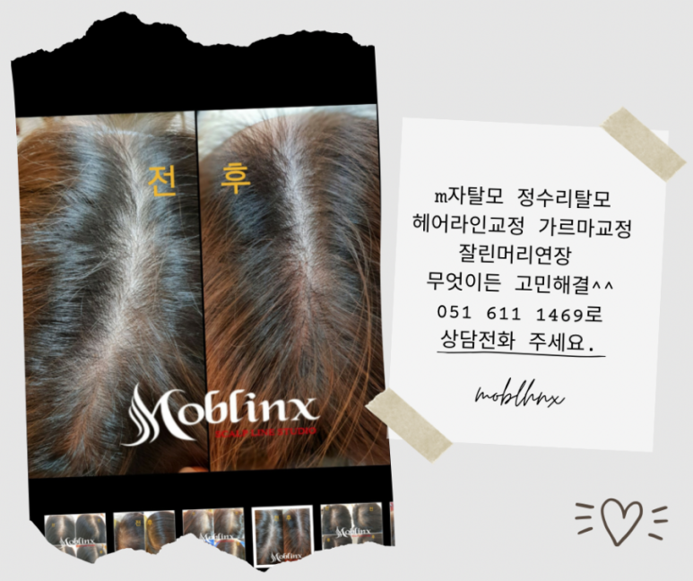 모블링스부산지사 이미지
