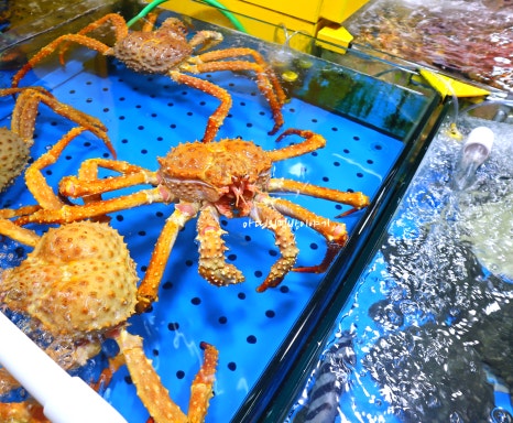 팔복수산 이미지