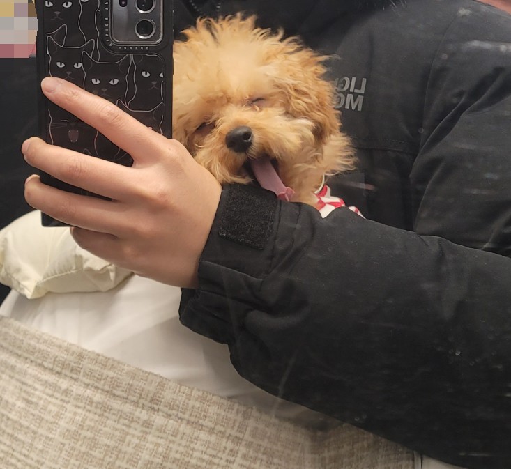 김올가 이미지