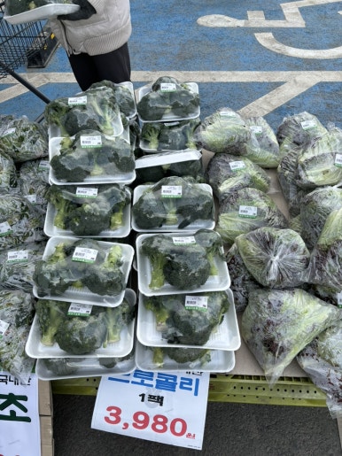 삼촌네펜션 이미지