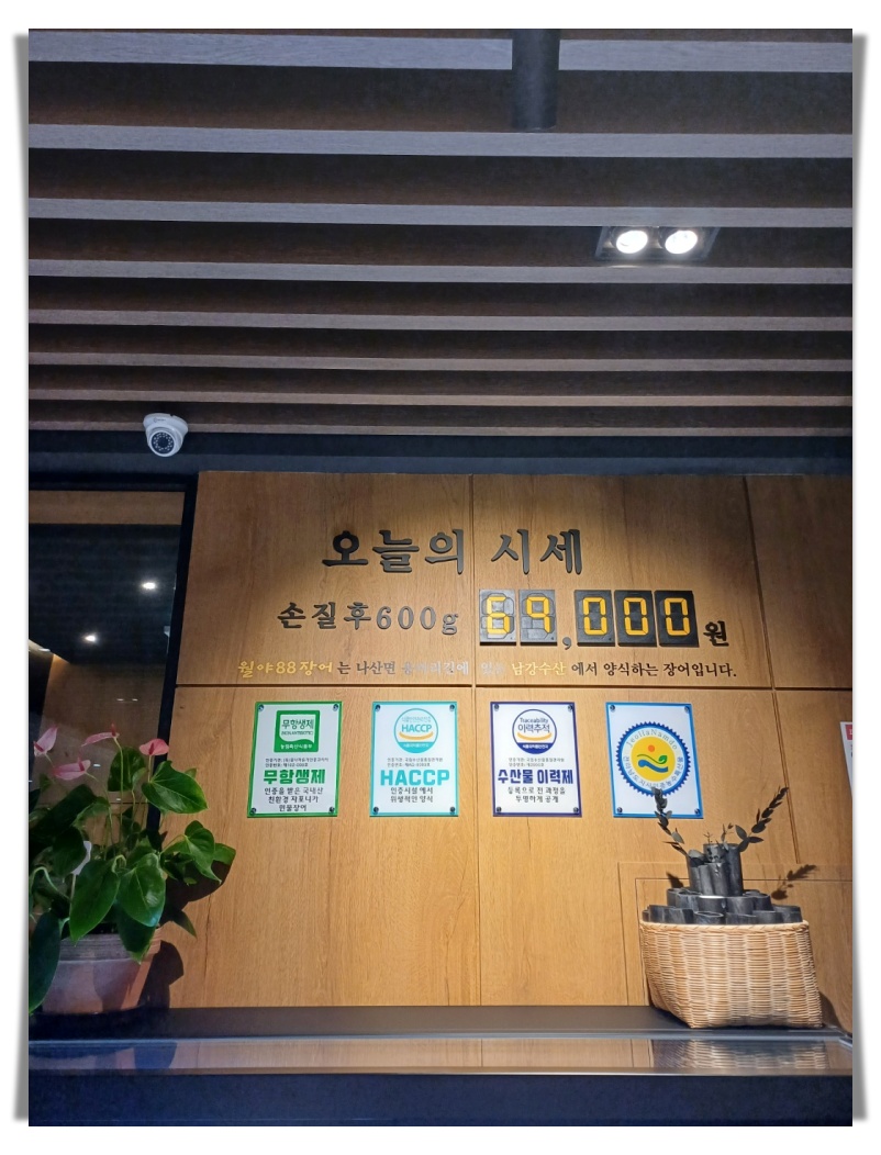 88장어 이미지