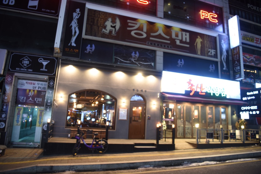 49돼지 이미지