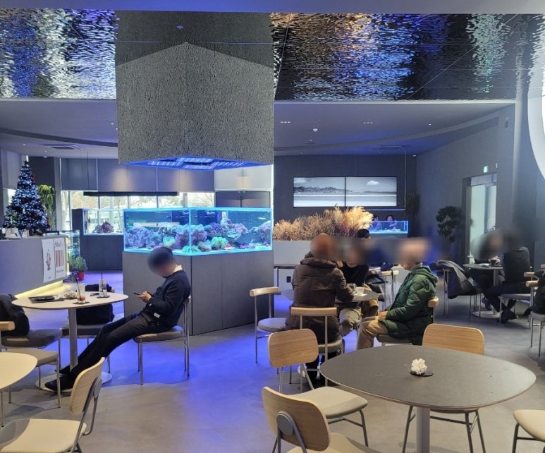 산호미트 이미지