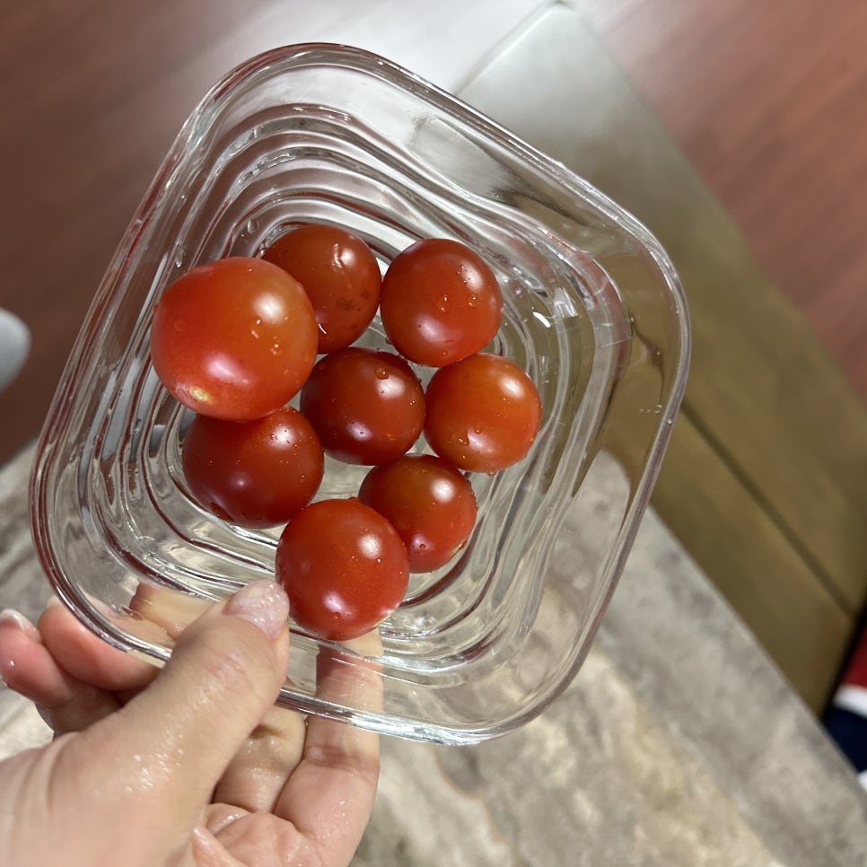 브이엘에프 이미지
