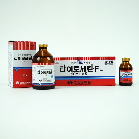 세틴 이미지