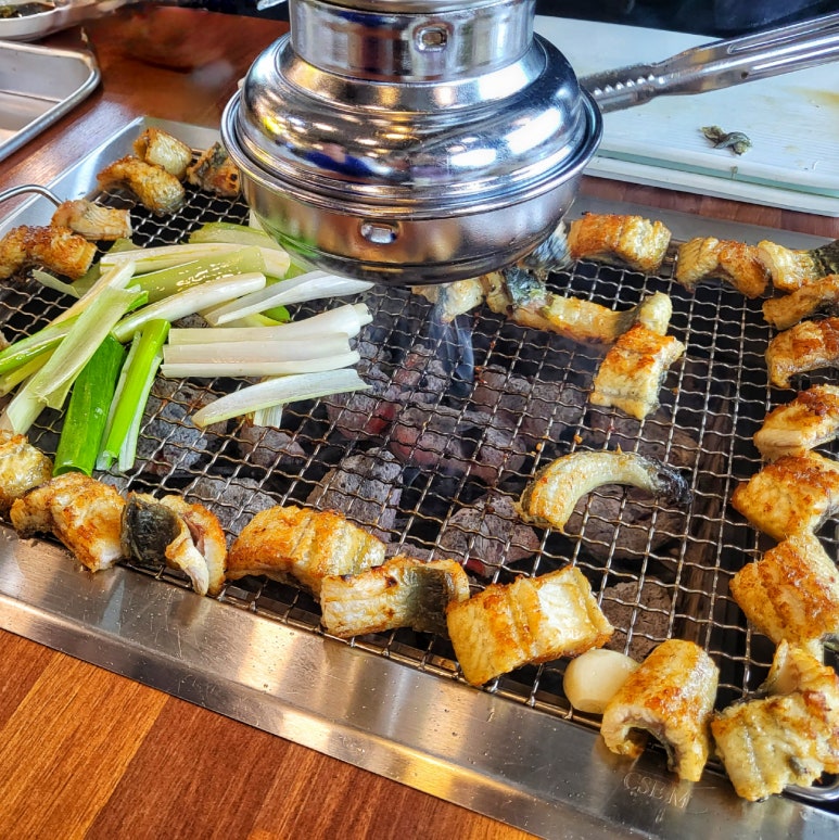 황실장어 이미지