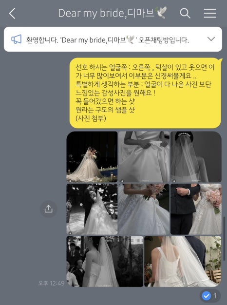 디마브 이미지