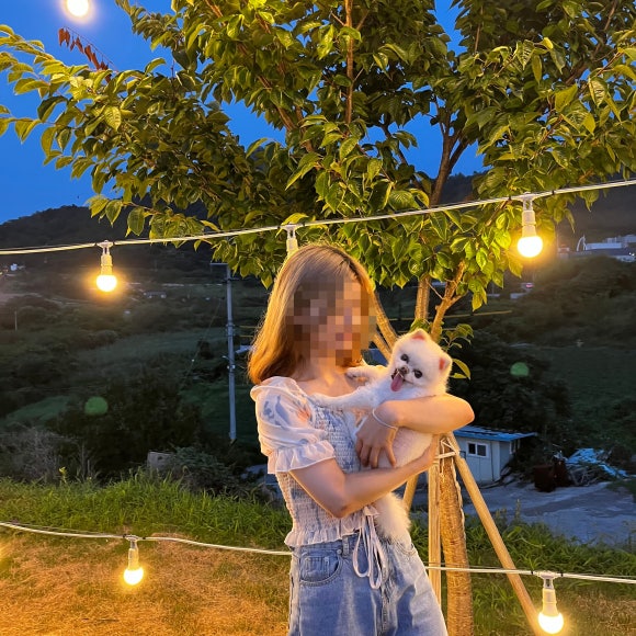 끋집 이미지