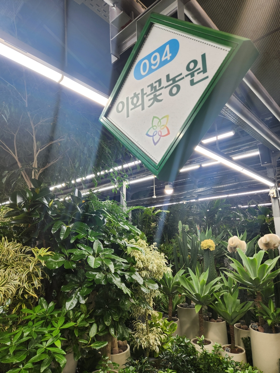 이화화훼 이미지
