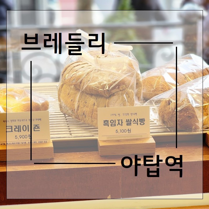 브레들리 야탑점 이미지