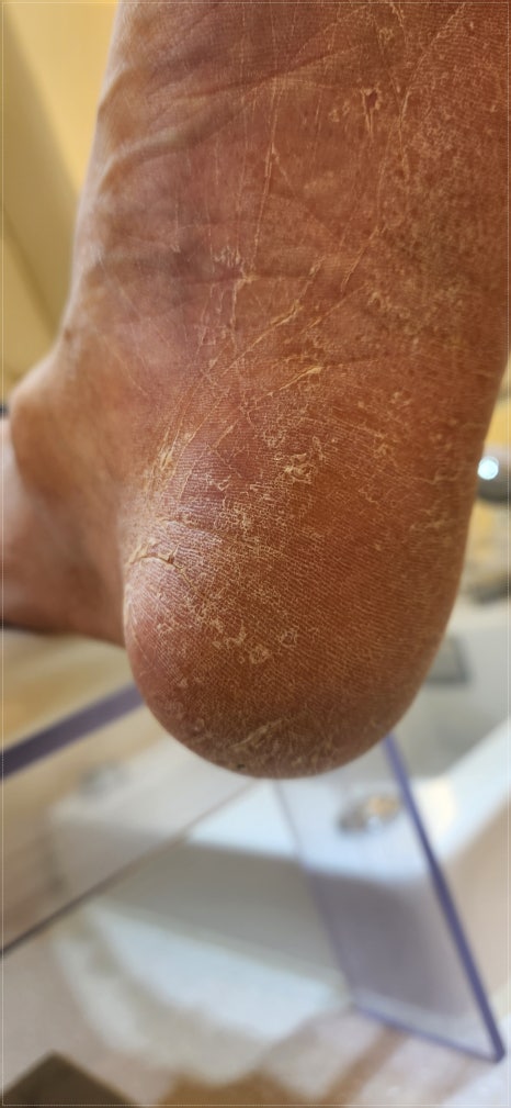 네일다움 이미지