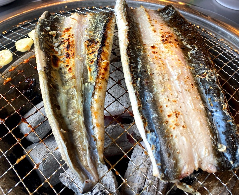 오라장어 이미지