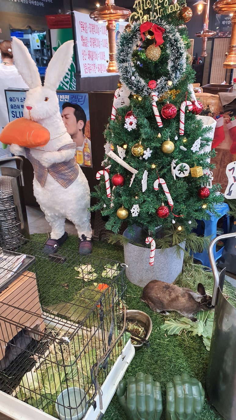 명륜진사갈비동패점 이미지