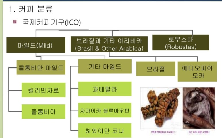 태가커피 이미지
