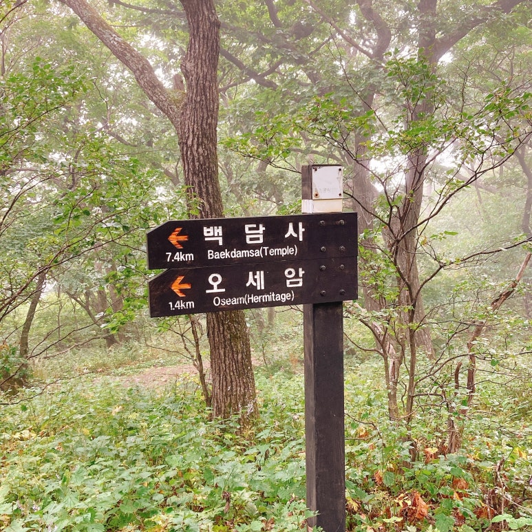 백두대간 치킨 이미지