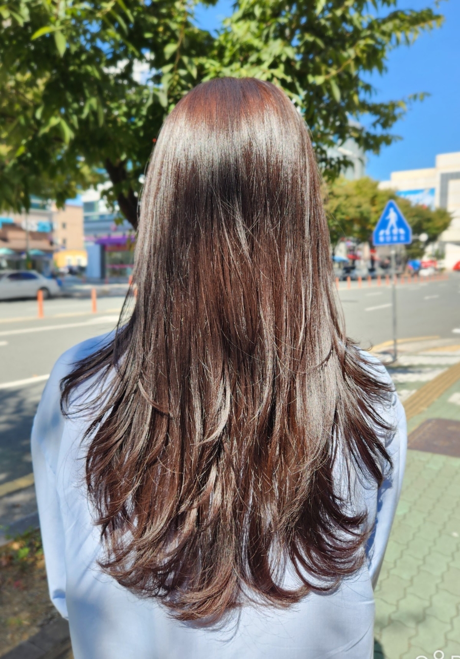 헤어라떼 이미지