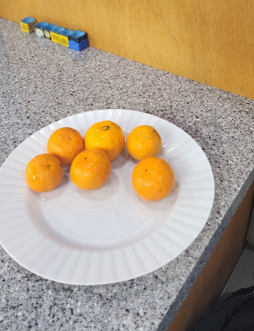 서귀포당구클럽 이미지