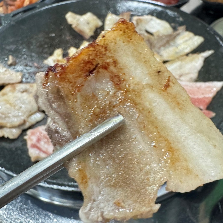 고기벅스 이미지