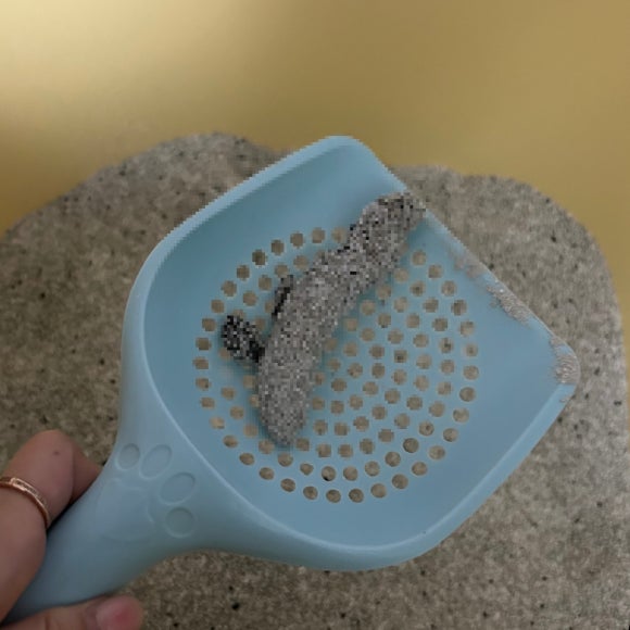 버틀랩 이미지
