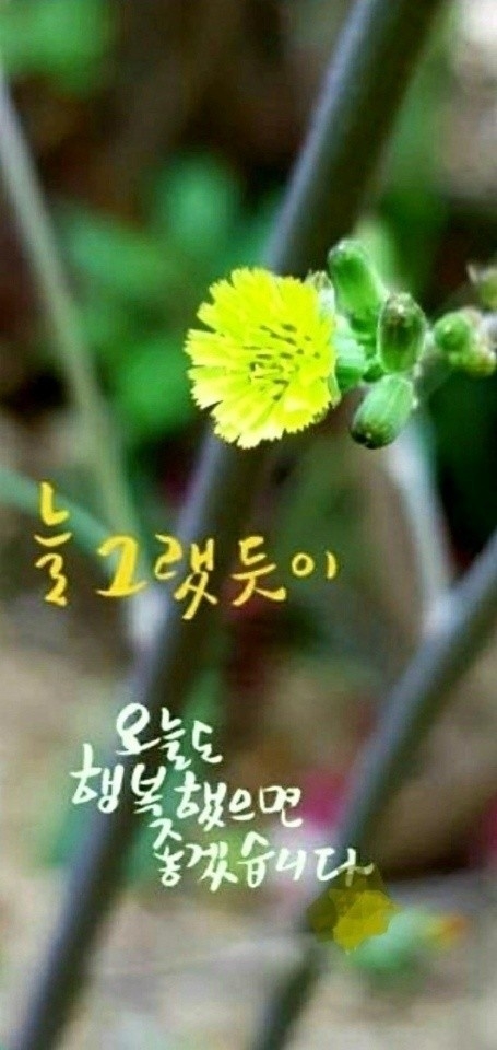 행복법무사 이미지