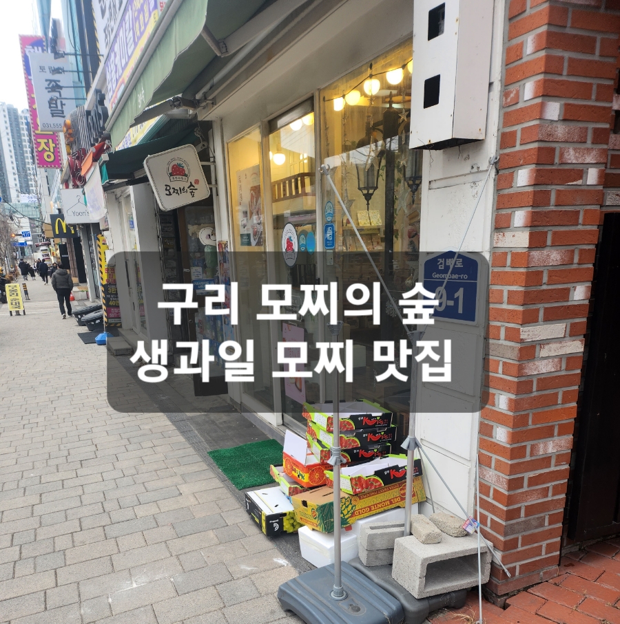 모찌의숲 이미지