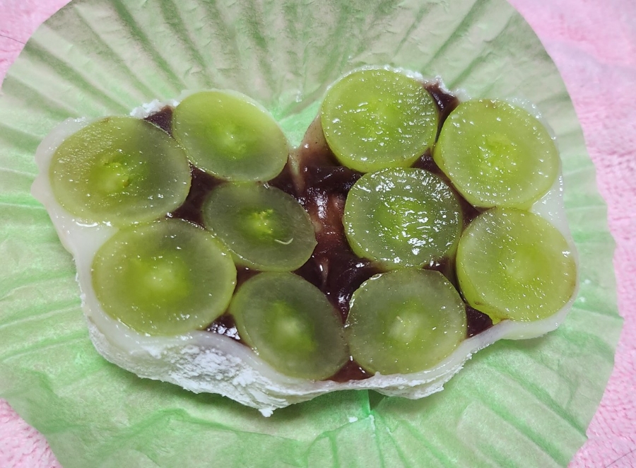 모찌의숲 이미지