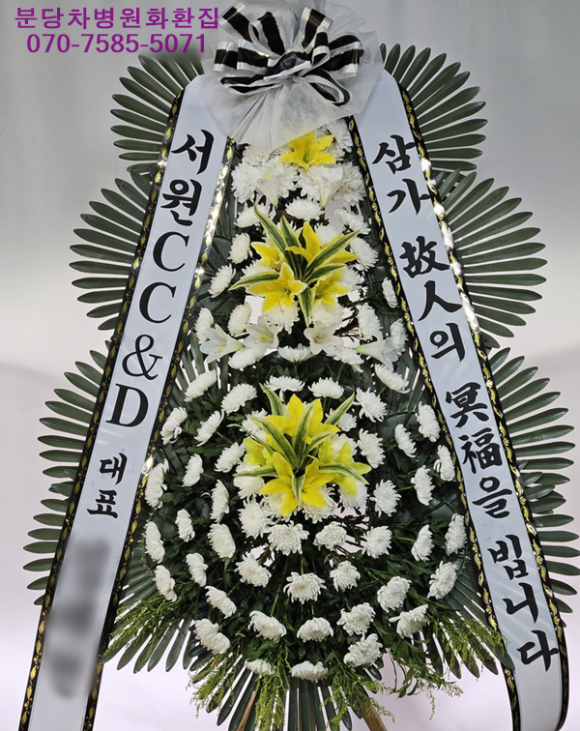 야탑동 351 (분당차병원) 이미지