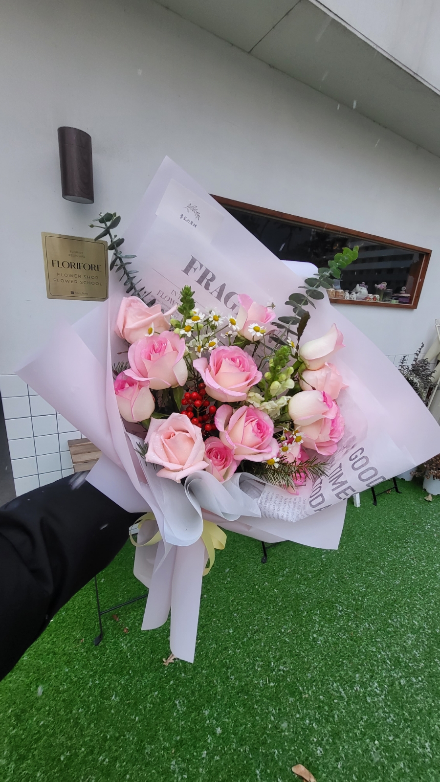 플로리포레 이미지